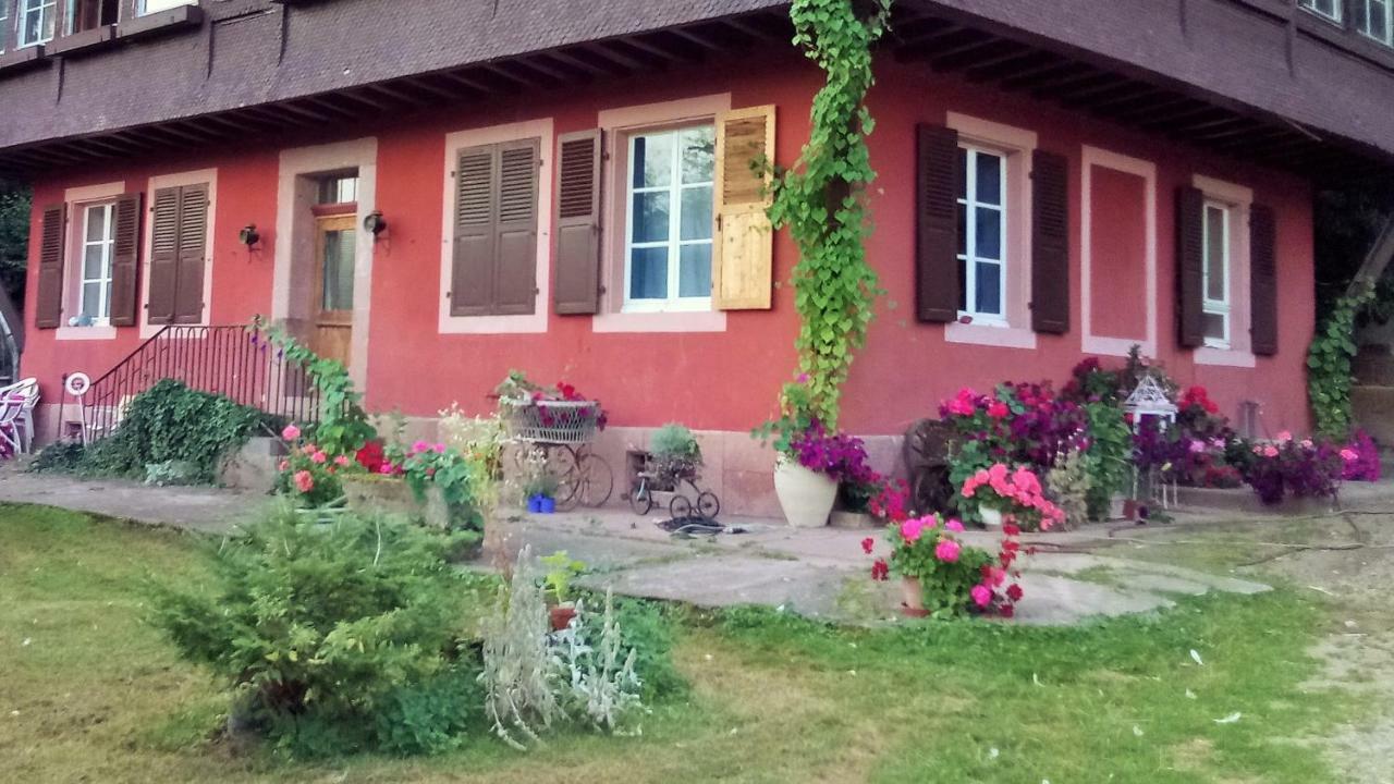 Gite "Cadichon" Munster  Exterior photo