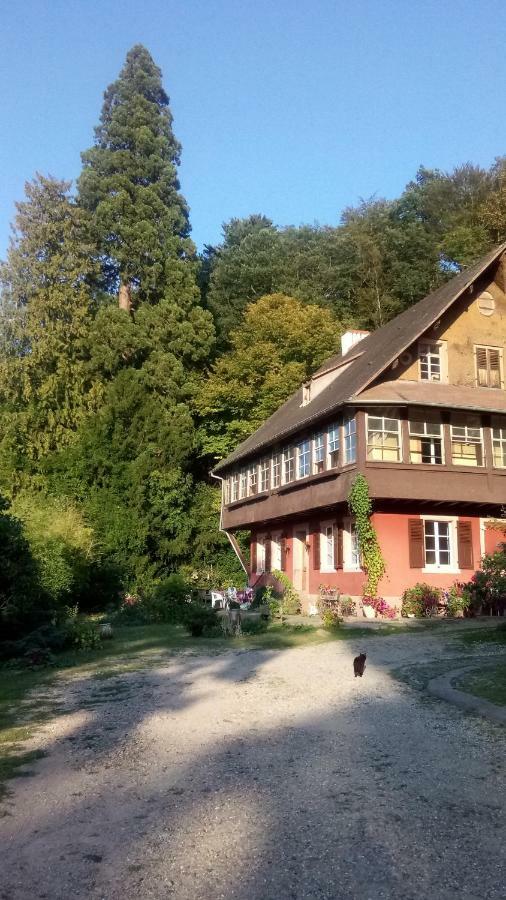 Gite "Cadichon" Munster  Exterior photo